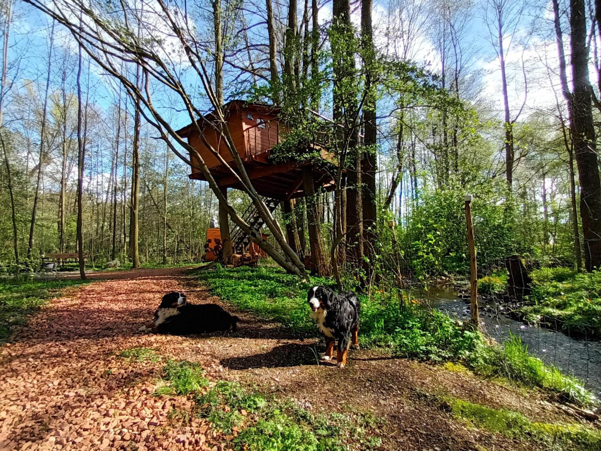 Treehouse V Brdech Villa Bohutín Exterior foto